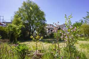 Leben, Gestalten, Entfalten – 64291 Wixhausen, Darmstadt – Vorschaubild 16