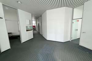 Vielseitiges Potenzial: Wohn- und Praxishaus – 49832 Freren – Vorschaubild 6