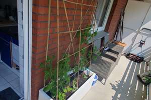 2-Zimmer-Wohnung mit Balkon & Garten in Münster-Roxel – 48161 Roxel, Münster – Vorschaubild 5