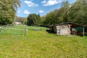 Landhaus in Alleinlage im Taunus - Idylle pur - separates Gästehaus, nur 40 Min. bis Frankfurt – Die vollständige Adresse der Immobilie erhältst du vom Anbieter., 61279 Grävenwiesbach – Vorschaubild 5