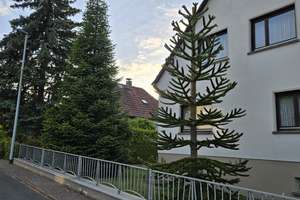 Zweifamilienhaus mit wunderschönem Garten, Doppelgarage und großem bebaubarem Grundstück – Die vollständige Adresse der Immobilie erhältst du vom Anbieter., 65817 Eppstein – Vorschaubild 13