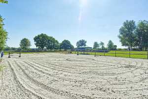 ländliches Anwesen mit parkähnlichem Grundstück, Reitanlage und separatem Gästehaus – Ostholstein (Kreis) – Vorschaubild 8