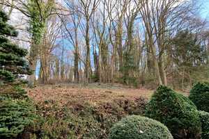 Großes Einfamilienhaus - viel Ausbaureserve - ruhige und direkte  Waldrandlage - Garage – Ahrweiler (Kreis) – Vorschaubild 7