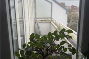 Property thumbnail 13