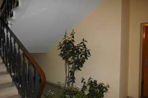 schöne 3- Zimmer Wohnung (DG) in ruhiger Lage – 39106 Alte Neustadt, Magdeburg – Vorschaubild 2