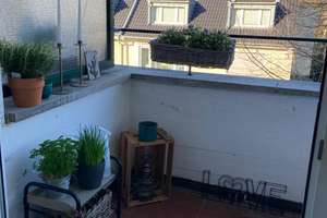 Nachmieter gesucht: Helle, gemütliche 1,5-Zimmer Wohnung in Köln-Lindenthal – Die vollständige Adresse der Immobilie erhältst du vom Anbieter., 50935 Lindenthal (Ortsteil), Köln – Vorschaubild 9