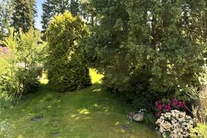 Charmantes Haus mit traumhaftem Garten, sonniger Terrasse und Doppelgarage – Die vollständige Adresse der Immobilie erhältst du vom Anbieter., 22359 Volksdorf, Hamburg – Vorschaubild 26