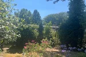 +++ Klassischer Bungalow am Bulmker Park wartet auf behutsame Modernisierung +++ – Die vollständige Adresse der Immobilie erhältst du vom Anbieter., 45888 Bulmke-Hüllen, Gelsenkirchen – Vorschaubild 2