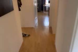 Alltagstaugliches 1-Zimmer-Apartment in Münster – Krumme Straße 33, 48143 Aegidii, Münster – Vorschaubild 3