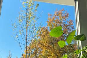 4-Zimmer-Wohnung am Park mit Garten und EBK in Bieber – 63073 Bieber, Offenbach am Main – Vorschaubild 3
