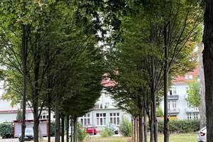 Diese charmante 1-Zimmer-Wohnung in einer historischen Wohnanlage von Magdeburg – Die vollständige Adresse der Immobilie erhältst du vom Anbieter., 39110 Stadtfeld West, Magdeburg – Vorschaubild 3
