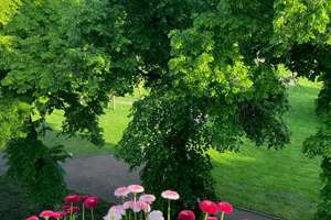 Münsters verborgenes Wohnjuwel – Wohnen im historischen ehemaligen Kamillus-Kolleg im Privatpark – 48157 Gelmer-Dyckburg, Münster – Vorschaubild 18