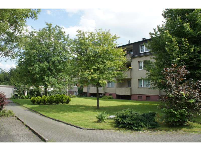 Im Schatten von Zollverein