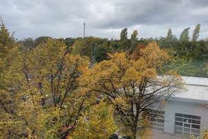 Property thumbnail 17