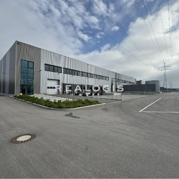 Ca. 9.000 qm Logistik | Rampe | ca. 8,00 m UKB !