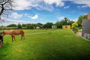 Tierfreunde aufgepasst. Großzügiges und saniertes Anwesen in Alleinlage!   – Steinfurt (Kreis) – Vorschaubild 2