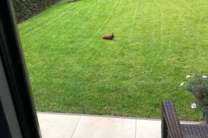 Property thumbnail 4