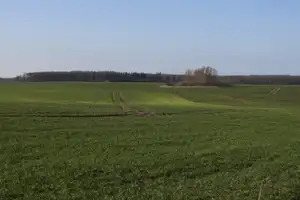 Seltenheit. Großes Traumgrundstück in Groß Schwaß (westliche Stadtgrenze von Rostock) – Bad Doberan (Kreis) – Vorschaubild 2