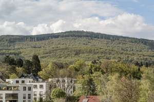 60's Terrassenwohnung mit Weitblick ins Grüne, Garage, moderner EBK & Designer-Tageslichtbad – Die vollständige Adresse der Immobilie erhältst du vom Anbieter., 61476 Kronberg im Taunus – Vorschaubild 48