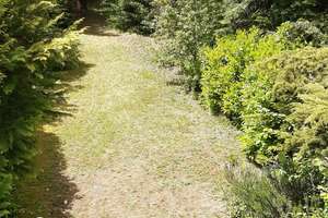 Ruhig gelegenes Reihenhaus ca. 125m² mit schönem Garten in der Karlsruher Waldstadt – Die vollständige Adresse der Immobilie erhältst du vom Anbieter., 76139 Waldstadt, Karlsruhe – Vorschaubild 13