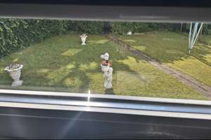 Ruhige 2-Zimmer-Wohnung mit Garten in zentraler Lage von Mönchengladbach. – Die vollständige Adresse der Immobilie erhältst du vom Anbieter., 41061 Hardterbroich-Pesch, Mönchengladbach – Vorschaubild 9