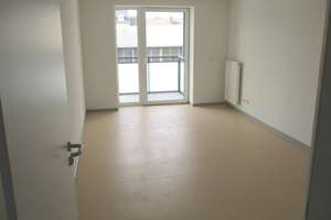 Helles WG-Zimmer  | 2er WG – Sickingenstraße 37, 34117 Nord (Holland), Kassel – Vorschaubild 7