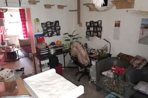 Gepflegte 2-Zimmer-Wohnung im Erdgeschoss in Salzgitter – Haßjägerweg 26, 38229 Gebhardshagen, Salzgitter – Vorschaubild 16