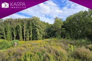 Wohnen am Wald mit Alsterlauf: Fertiggestelltes Neubau - Haus in Kayhude – Die vollständige Adresse der Immobilie erhältst du vom Anbieter., 23863 Kayhude – Vorschaubild 1