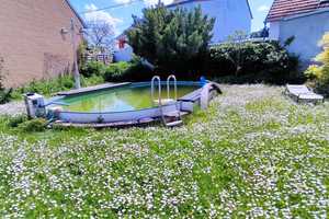 Uneinsehb. Gartenparadies mit Terrassen, Pool, Scheune+Garage, 2 Häuser/getrennt mit Innenhof etc. – Bad Kreuznach (Kreis) – Vorschaubild 1