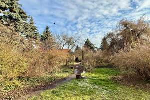 Property thumbnail 24