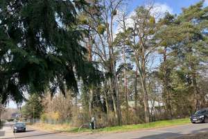 Leerstehendes Reihenendhaus: 100m² groß + ruhig im Grünen gelegen, Falkensee, nahe Potsdam + Berlin – Die vollständige Adresse der Immobilie erhältst du vom Anbieter., 14612 Falkensee – Vorschaubild 15
