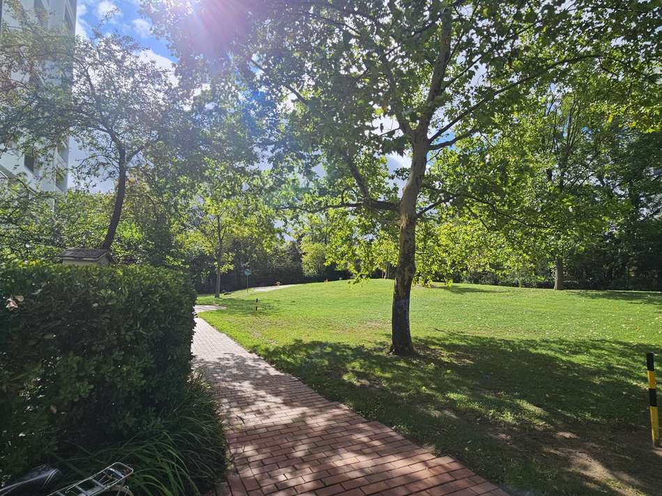 20250915_120905_resized