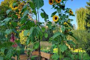 Großzügiges Mehrfamilienhaus mit 3 Wohneinheiten, 4139 m³ Grundstück und traumhaftem Gartenbereich! – Die vollständige Adresse der Immobilie erhältst du vom Anbieter., 2692 Großpostwitz/Oberlausitz – Vorschaubild 23