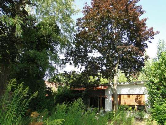Großes Baugrundstück in guter Wohnlage - Bild 8