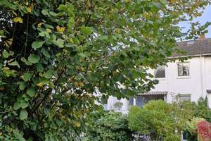 Lehesterdeich | Reihenmittelhaus mit schönem Garten und Garage – Die vollständige Adresse der Immobilie erhältst du vom Anbieter., 28357 Lehesterdeich, Bremen – Vorschaubild 3