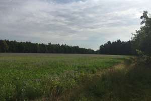 Property thumbnail 19