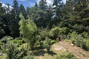 RESERVIERT - Charmantes Reiheneckhaus in Waldrandlage – mit Einliegerwohnung, Wintergarten  – Enzkreis – Vorschaubild 7