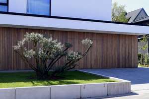 Exklusives Architektenhaus mit separater Einliegerwohnung – Die vollständige Adresse der Immobilie erhältst du vom Anbieter., 32549 Bad Oeynhausen – Vorschaubild 2