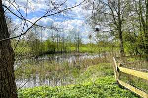 Resthof unter Reet -7,6 ha- Pferdestall- Reithalle, schöne Lage – Schleswig-Flensburg (Kreis) – Vorschaubild 9