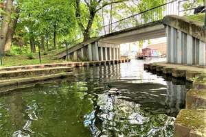 Wohnen am Wasser: Modernes, voll möbliertes Single-Apartment in Top-Lage!