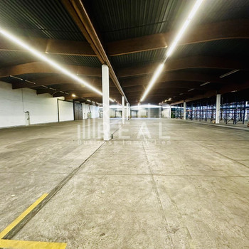 Gepflegte Lagerhalle in Haan | 3 Rampentore | 1 ebenerdiges Tor