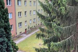 keine Renovierungsarbeiten. Top modernisierte Wohnung. – Zobeltitzstr. 35, 13403 Reinickendorf (Ortsteil), Berlin – Vorschaubild 1