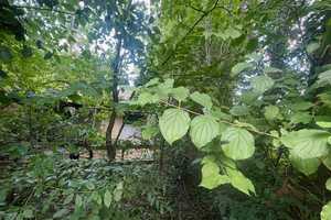 Bad Wimpfen, Nähe Friedhof, großes Grundstück, älteres renovierungsbedürftiges EFH – Rappenauerstraße 39, 74206 Heilbronn (Kreis) – Vorschaubild 48