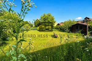 +++ Blumenau: Wohnen im Grünen - Großzügiges EFH mit sonnigem Garten am Käfertaler Wald +++