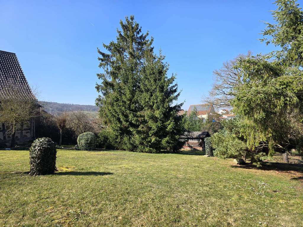 Immobilie in Untermerzbach - Bauernhaus-Perle mit Charakter und unendlichen Möglichkeiten! - Bild 3