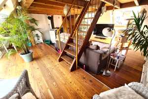 FROSCH ===== SUCHT ===== PRINZESSIN – Enzkreis – Vorschaubild 25