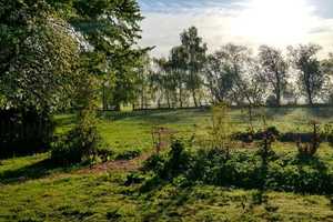 ein Paradies für Pferdefreunde...oder doch etwas ganz anderes?  – Rügen (Kreis) – Vorschaubild 1