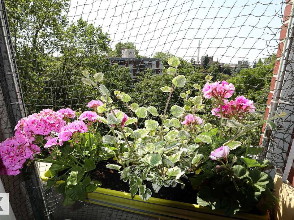 Balkon (Küche)