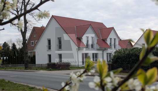 Bild von *** Nestbau in Wienhausen ***
