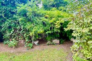 Property thumbnail 16